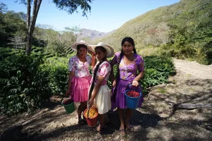 Nestled in the heart of Bolivia's lush coffee-growing regions, Los Rodriguez coffee farm