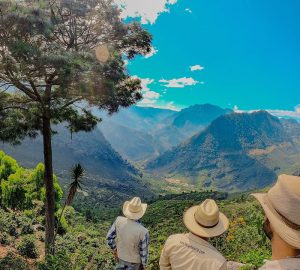 El Injerto PCA 2024 three farmers looking out at vast landscape