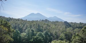 Santa Felisa PCA 2024 image of the landscape with mountain in the background