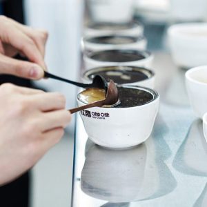 SET Course – Oudi Coffee Institute