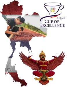 thailand-coe-2024-colage